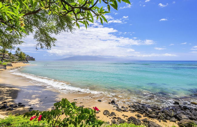 Kuleana 614 - 1Br Condo - Foto 97