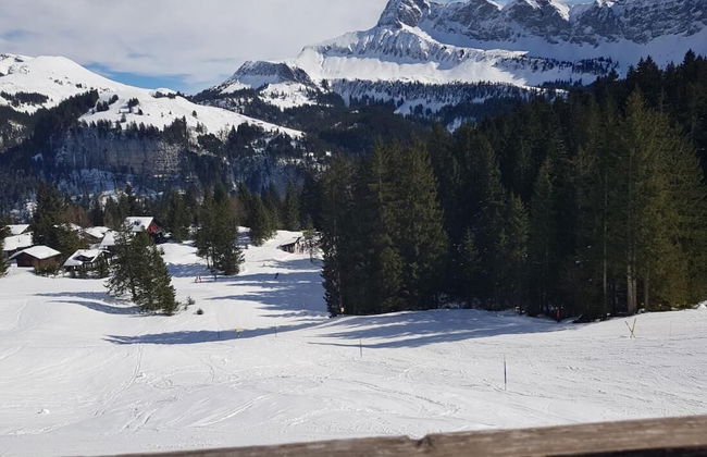 Elfe-apartments Two-room Apartment With Garden, 2-4 Guests - Foto 15