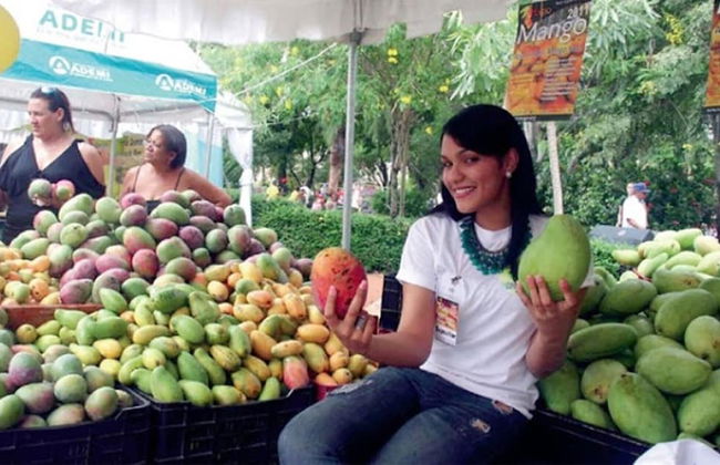 Villa Los Almendros - 2 Private Pools & Tennis & Pickle Ball - Photo 34