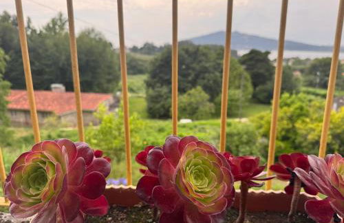 Casa da Avó Quina - Seixas - Foto 25