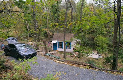 Vintage Lovers` Cabin with Jacuzzi & Lake Access - Foto 24