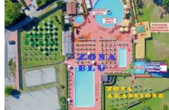 Helianthus - Photo 51