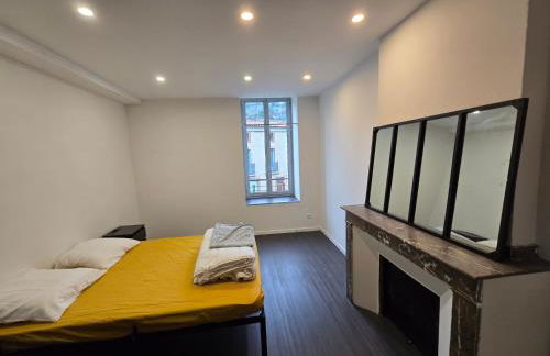 Appartement XXL 120m2 - 10 couchages - 3ch - centre Foix - 2 sdb-2 wc - Parking gratuit à 1 Minute - Foto 50
