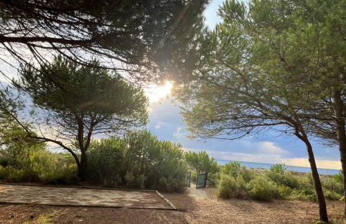 MAISONS BORD DE MER- MARINE DE SORBO - Gîtes 3 épis - Foto 11