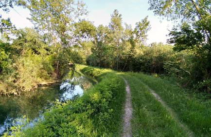 Residence Stradella Verde - Photo 29