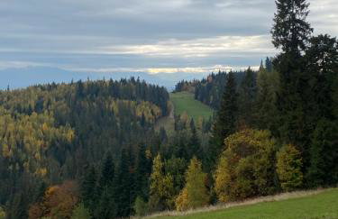 Apartament w górach Gorce - Foto 18