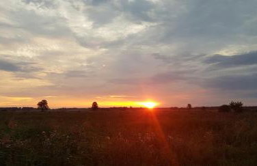 Zdalnie z Lasu - Siedlisko w Puszczy Białowieskiej - Foto 42