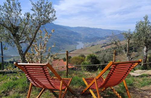 Retiro Vale do Douro - Photo 40