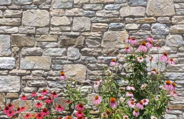 Thassos OLIVIA RESORT - Foto 64