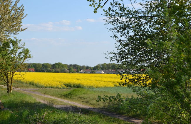 pur NATUR & berlin ALEX 40min. - Foto 23