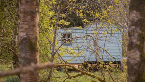 Bamff Ecotourism - Photo 5