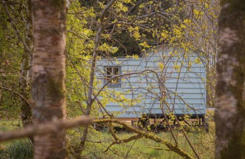 Bamff Ecotourism - Photo 5