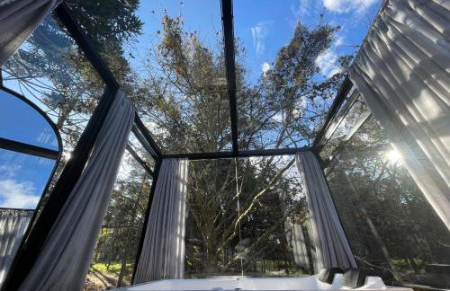 Cabanas Jardim de Tereza - Foto 6