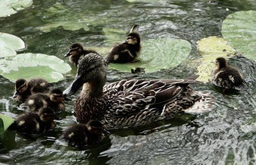 Duck Terrace with Gym Duckling Stays - Foto 31