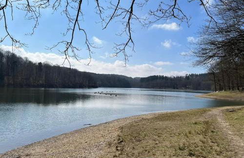 Ferienwohnung Landidyll, Whirlpool, Minipigs, Ponys, Familien - Foto 3