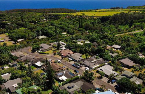 Lucy Fan Ohana - Photo 31