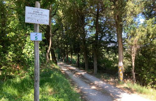 Le Giuncaie - Vigna con alloggio - Foto 21