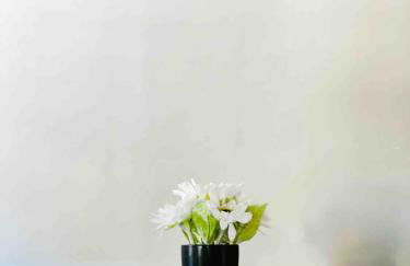 Suite Home Indiana Apartments - Photo 10