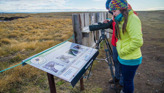 Visitando el Parque Pingüino Rey