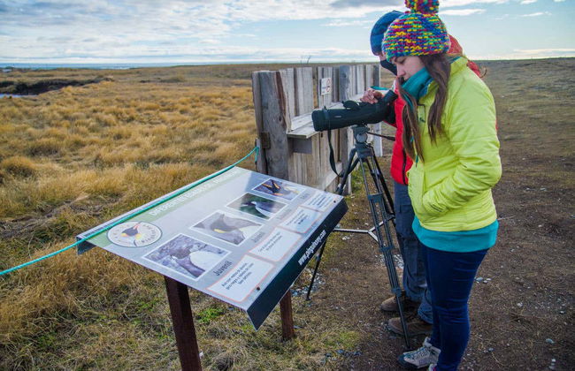 Excursión a la isla Tierra del Fuego - Foto 3