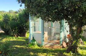 Villa Vitusya Charming home - Foto 32