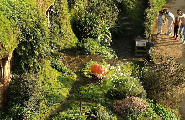 Excursion à Hobbiton - Photo 1