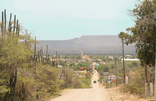 Escursione a Rincón - Foto 3
