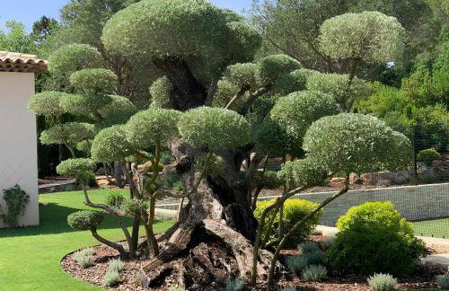 Villa Qalaisie - Luxury Villa for 16 on Terre Blanche Golf Estate - Foto 35