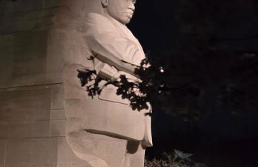 Beautiful Basement Suite & Outdoor Oasis - Photo 28