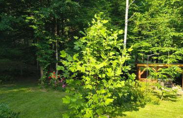 Hacienda domek całoroczny z jacuzzi w lesie pod Rzeszowem - Foto 9