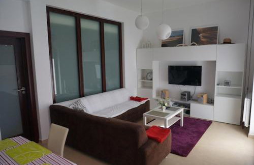 Studio Wisełka Leśna - Foto 7