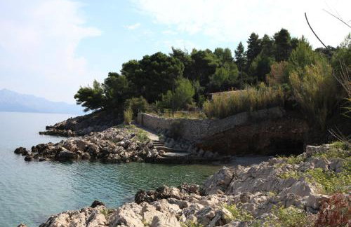 Robinson Merlot - Foto 48