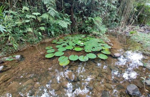 Casa Petar Betari - Photo 3
