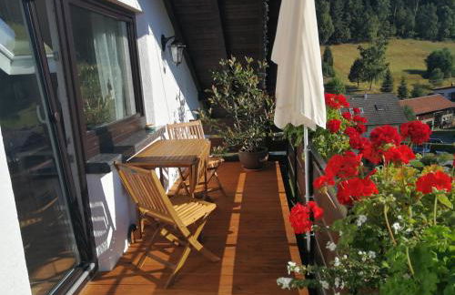 Ferienhaus Enzquelle - Foto 34