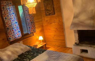 Dom z linią brzegową Narwi 3 - Photo 35