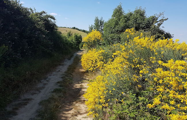 Agriturismo Piccola Raieda - Photo 30