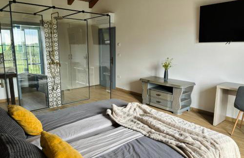 Villa Francesca with free bikes and heated pool, Buje - Foto 11