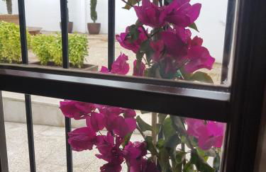 Casa Palacio Muñoz Chaves - Foto 12