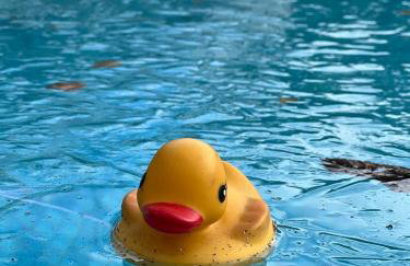 Richmond Hill Cottages, Exclusive 6 bedroom Farm House, Markington with heated pool - Photo 20