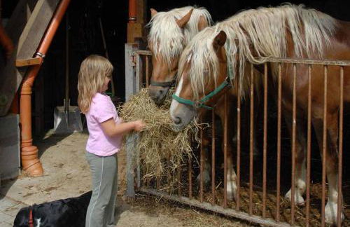 Ferien- und Freizeithof Bindl - Foto 28