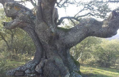 Casa Enrique Soria - Foto 18