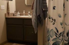 4 Bedroom/2 Bath Home 20 Acres of Woods - Hot Tub - Foto 8