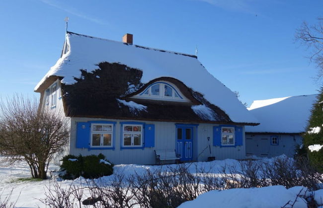 Captain House South Cats 8 - Photo 16