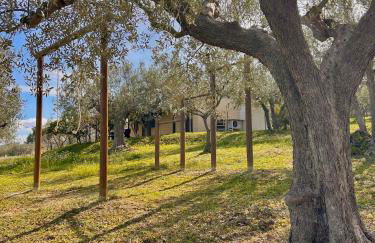 oasi macerina - Foto 56