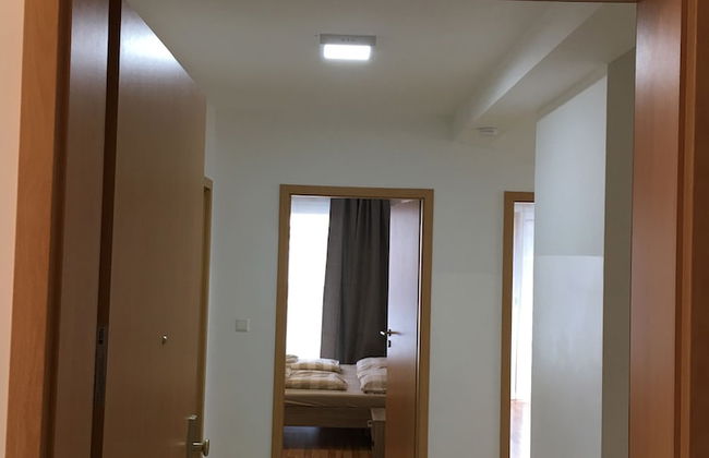 Sahara Falcon - Foto 46