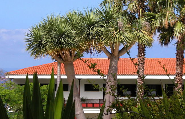 Apartamentos Miranda - Foto 26