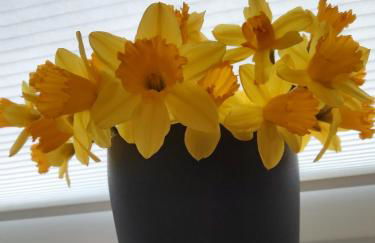 Ruheoase Waldblick - Foto 9