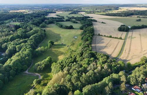 Ferienwohnung im Kunst- und Logierhaus Villa Ihler - Photo 26