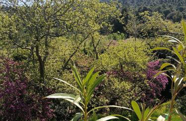 House in the Forest - Foto 41