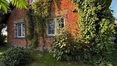 Kolonia u Jasia Rajgród - Foto 4